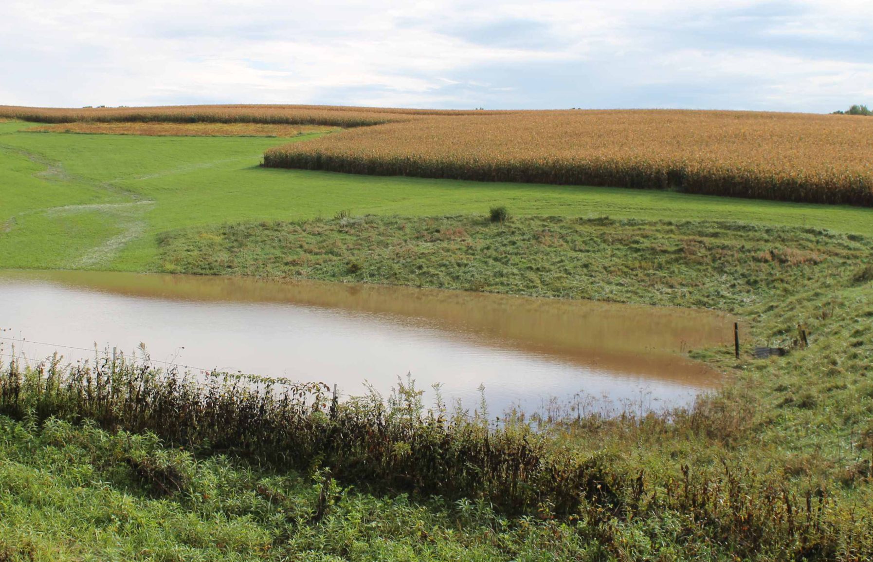Rain runoff fills dry dam